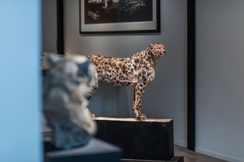 JÜRGEN LINGL: WOOD TO BRONZE