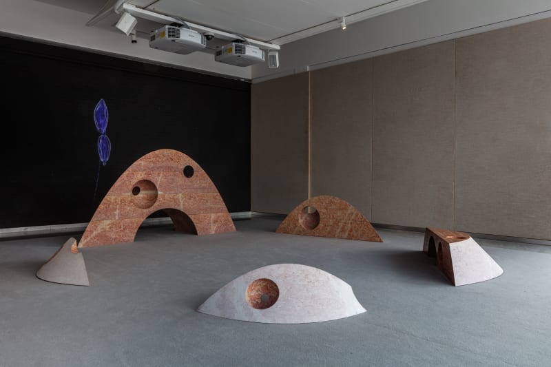 SUPERFLEX, Interspecies Assembly and Vertical Migration, Kunsten Museum of Modern Art Aalborg