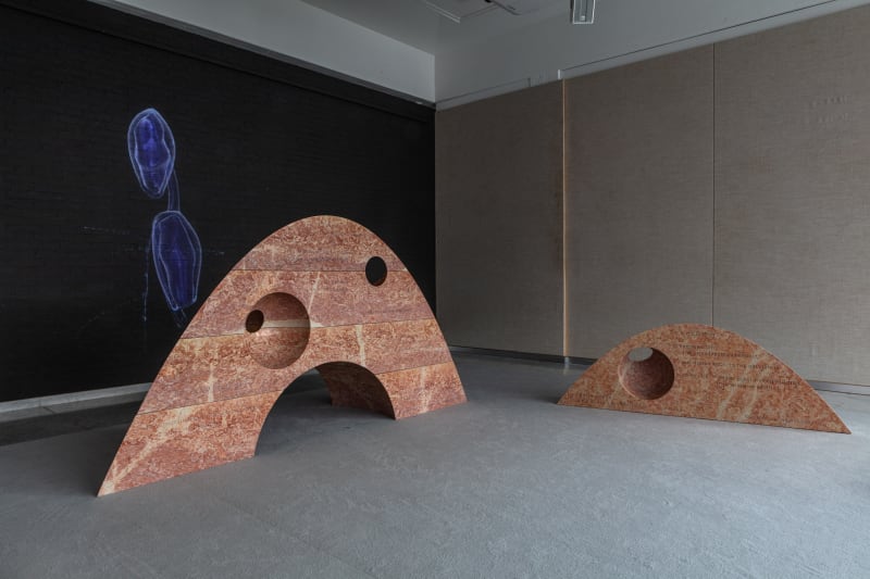 SUPERFLEX, Interspecies Assembly and Vertical Migration, Kunsten Museum of Modern Art Aalborg