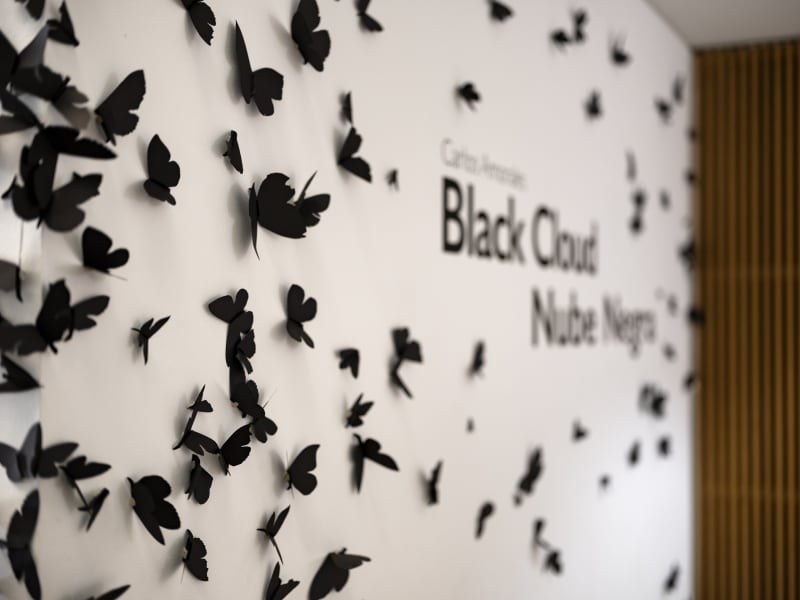 Courtesy of Phoenix Art Museum · Photo: Katie Jones-Weinert