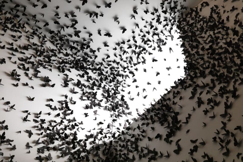 Courtesy of Phoenix Art Museum · Photo: Katie Jones-Weinert