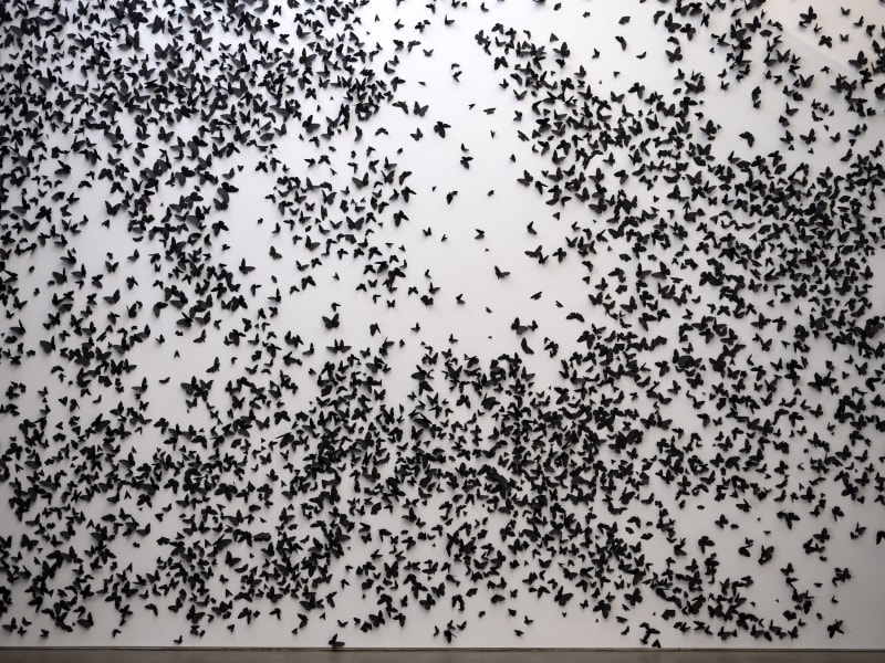 Courtesy of Phoenix Art Museum · Photo: Katie Jones-Weinert