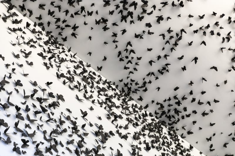 Courtesy of Phoenix Art Museum · Photo: Katie Jones-Weinert