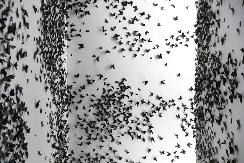 Courtesy of Phoenix Art Museum · Photo: Katie Jones-Weinert