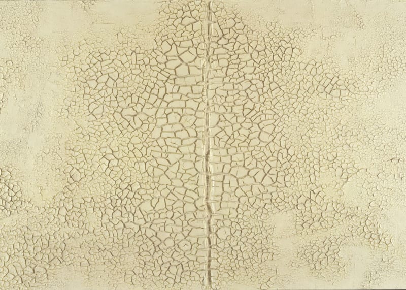 Bianco, Burri Fontana Manzoni