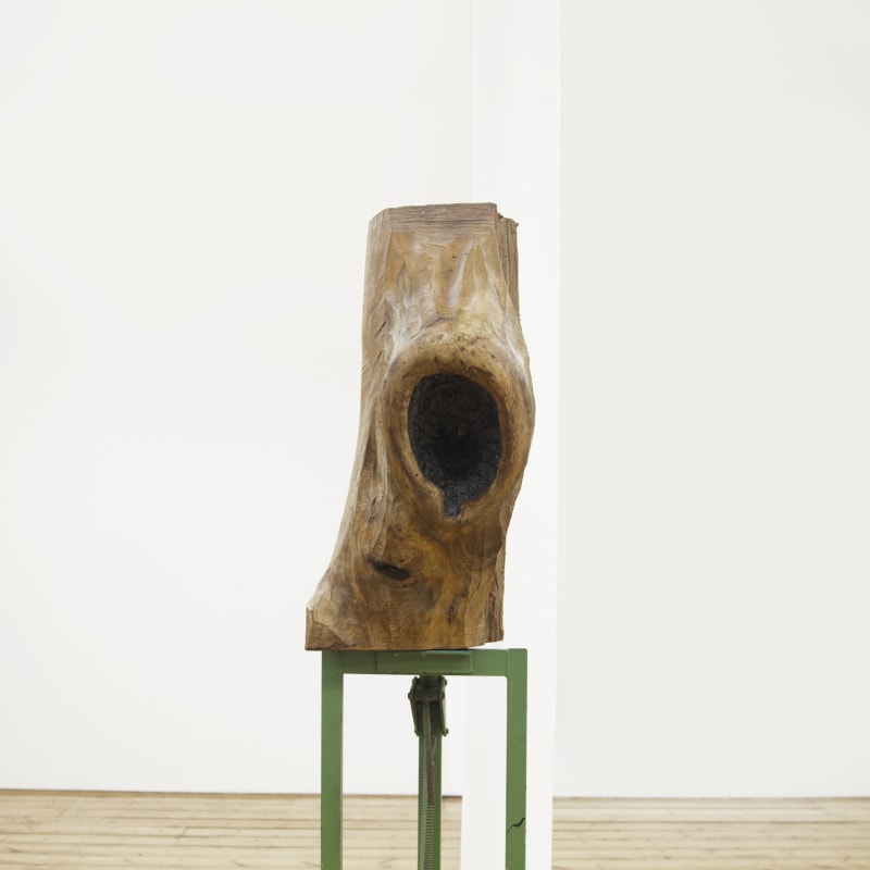 Wood, Stones and Friends, Jimmie Durham