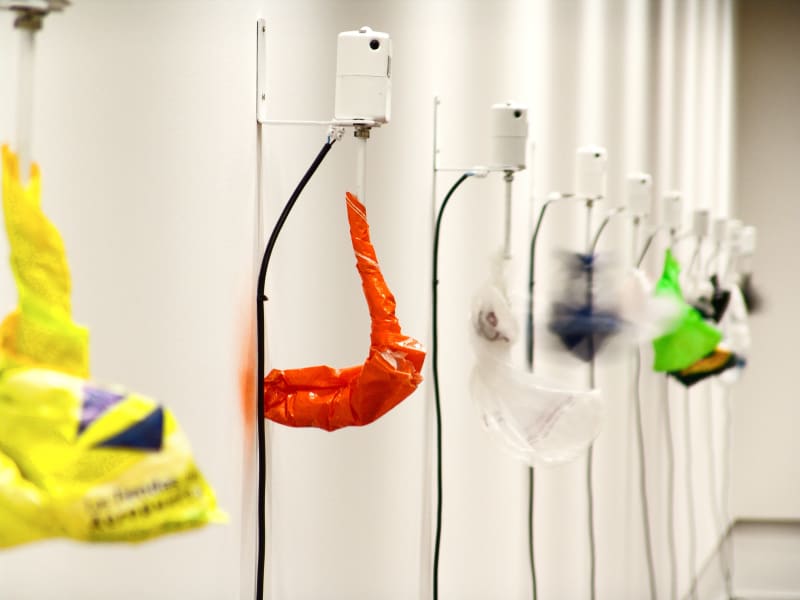 Jungle Jam, Chelpa Ferro