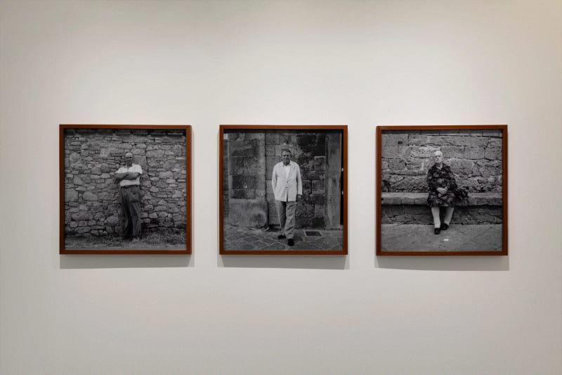 Eurico Lino do Vale at Galeria Belard