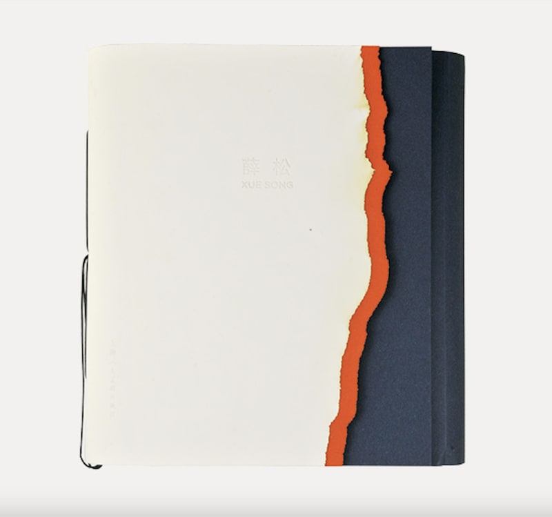 Xue Song: Phoenix Art from the Ashes, Solo Exhibition Catalogue