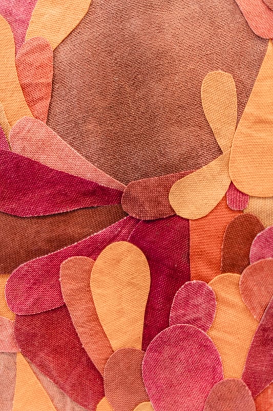 Fernanda Froes | Jardim Botânico Museum