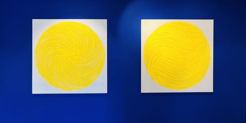 Najia Mehadji, ' MON AMIE LA ROSE '