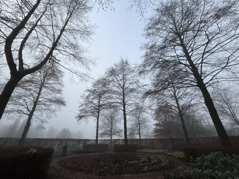 Wintertuin