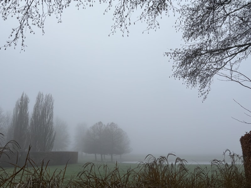 Wintertuin