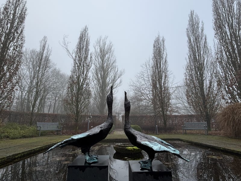 Wintertuin Beeld: Jonneke Kodde