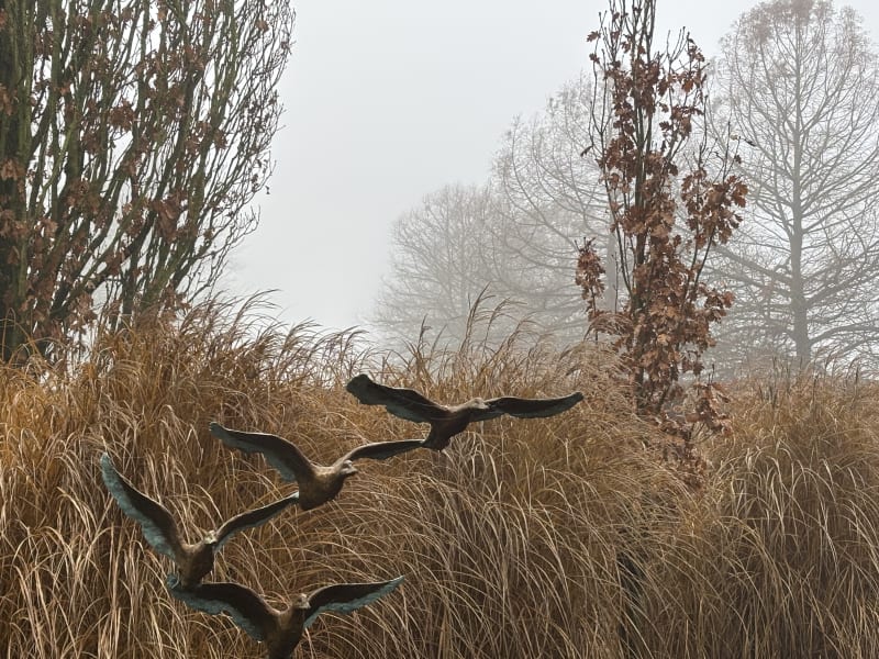 Wintertuin Beeld: Jonneke Kodde