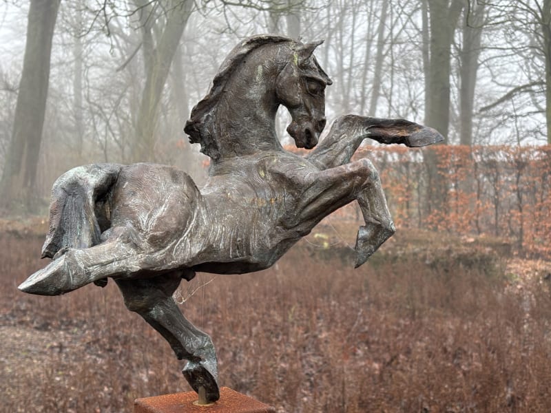 Wintertuin Beeld: Jos Dirix