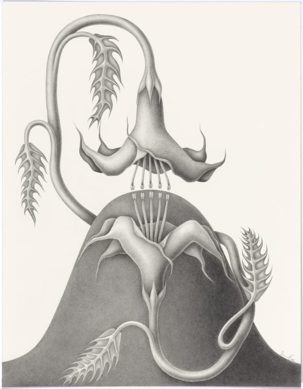 DEVRA FOX: Two in One