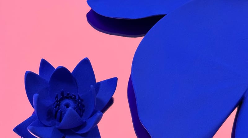 Detail of Adam Cruces, Water Lilies (Blue on Pink), 2025, Acrylic on polyamide MJF, plexiglass, resin, wood, 60 cm, diameter x 7 cm