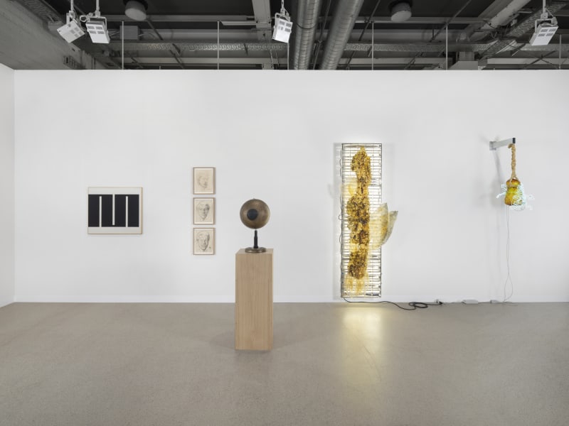 Photo : Julien Gremaud