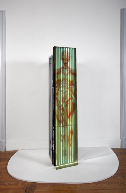 Chloé Delarue, TAFAA - FERTILITY DEVICE (UNCANNY VALLEY TROLL SPREADING), 2023, LCD Screen, metal, glass, latex, video, print by transfert, 165 x 34 x 48 cm (65 x 13 3/8 x 18 7/8 in.)