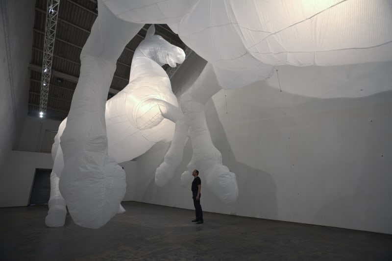 Ashwamedh, Max Streicher