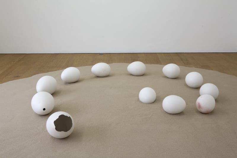 Photo: Wilfried Petzi