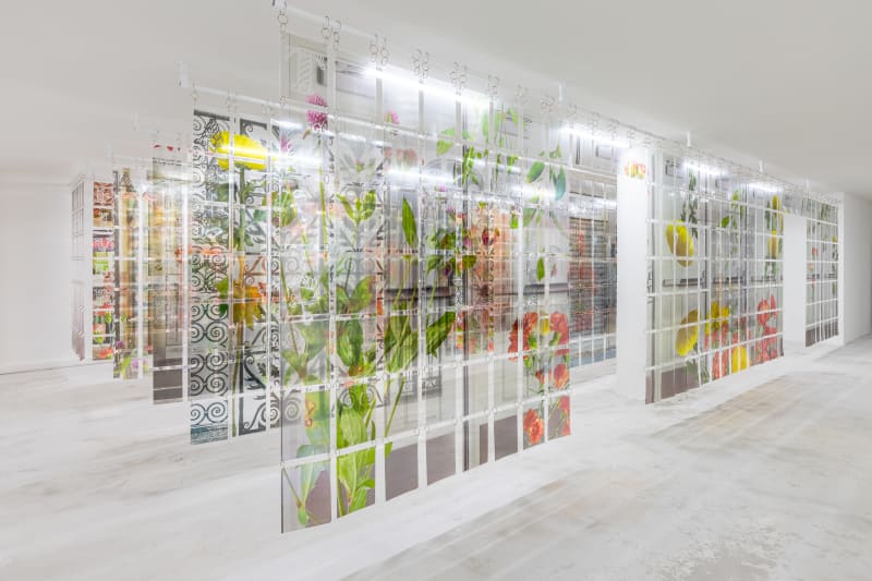 Installationsansicht, The Three-Legged Cat, auf der 18. Istanbul Biennale, 2025. Mit freundlicher Genehmigung der Künstlerin und der Istanbul Foundation for Culture and Arts (İKSV). Foto: Sahir Uğur Eren