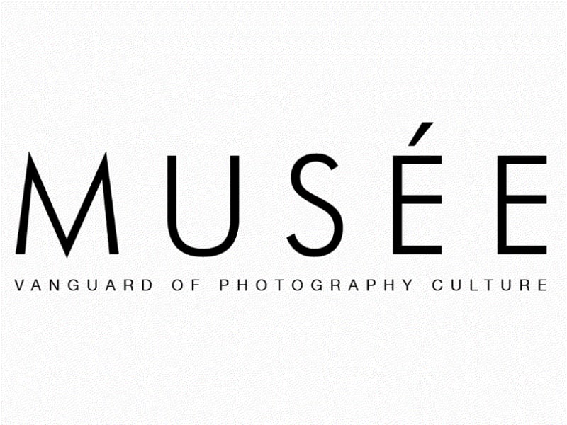 Established Artist Wendy Small: The Prickly Garden