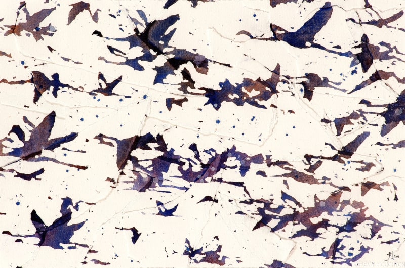 Jeremy Houghton, Edge of Reason