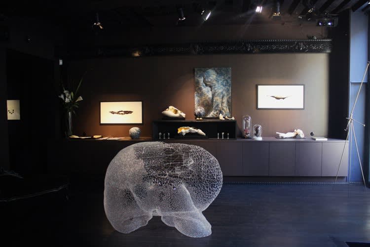 Cabinet Da-En 09, Galerie Da-End