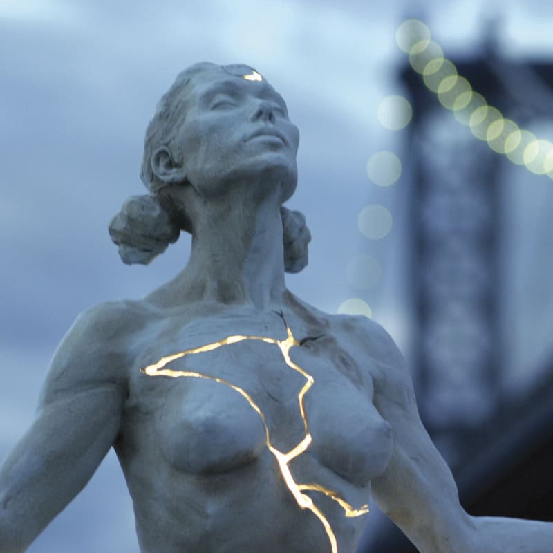 Expansion - An Artist's Narrative, by Paige Bradley