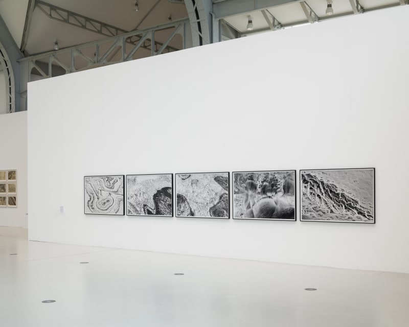 Currency: Photography Beyond Capture, Hamburg Triennial of Photography