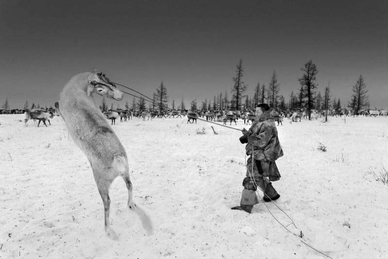 The ‘Human’ on display at prestigious Prix Pictet exhibition, Interview with Ragnar Axelsson and Michał Łuczak