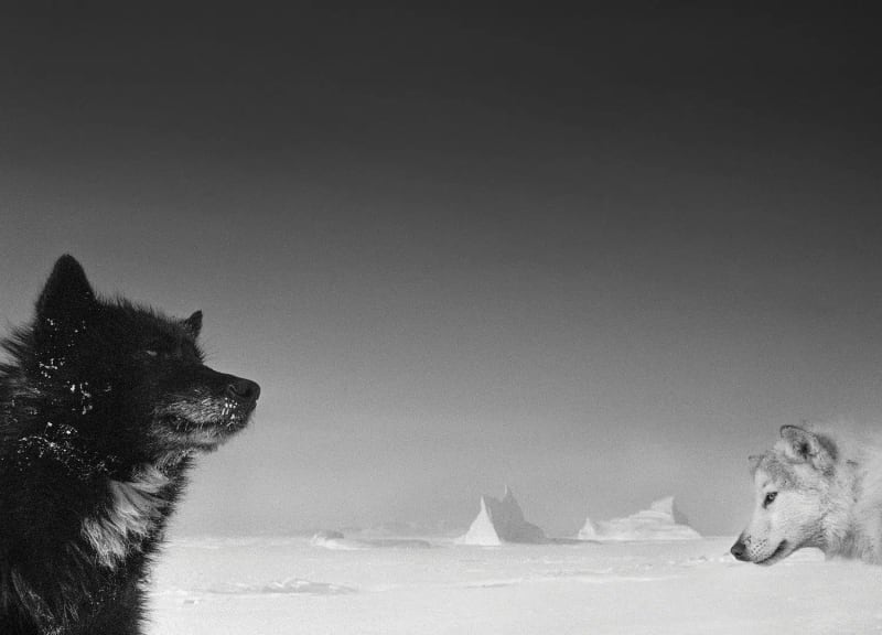 Interview: Ragnar Axelsson