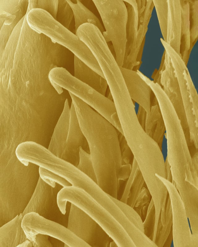 © Fernando Montiel Klint. Courtesy of Helphoto Gallery