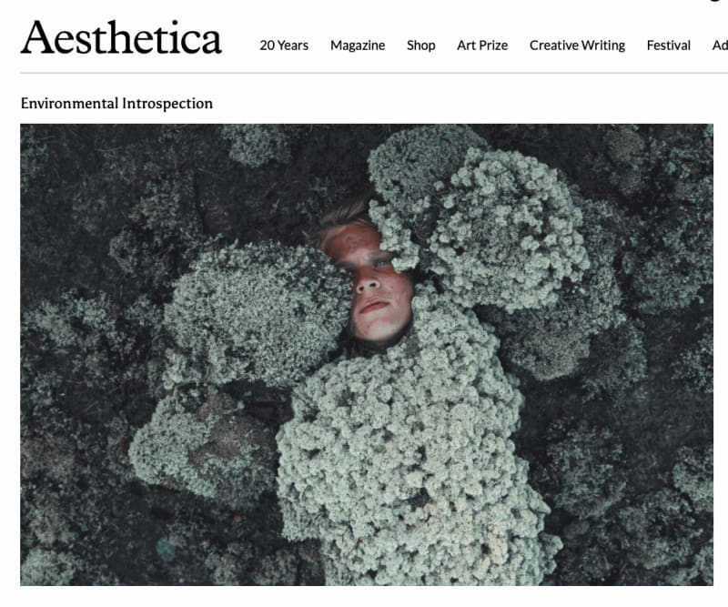 Environmental Introspection