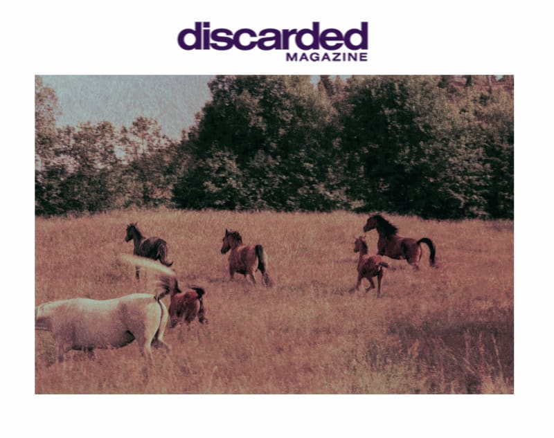 Montöristen an interview with Carl-Mikael Ström, Interviews