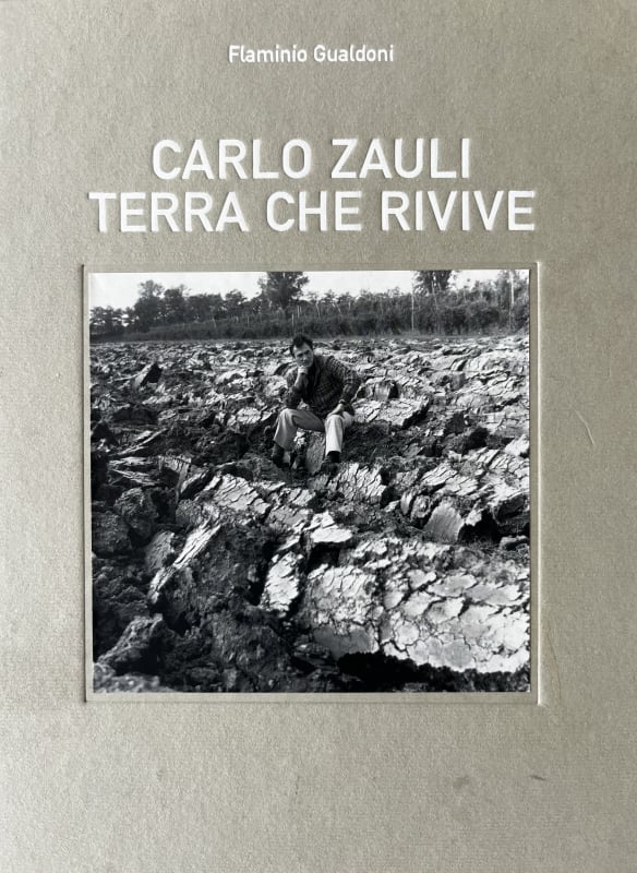 Carlo Zauli - Terra Che Revive