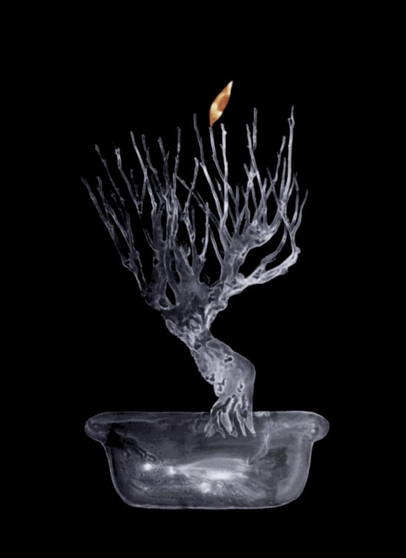 Neha Choksi, Lone Orange, 2008