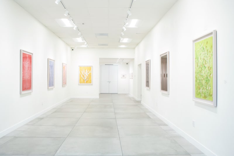 Garden of Hundreds of Plants (百草园)