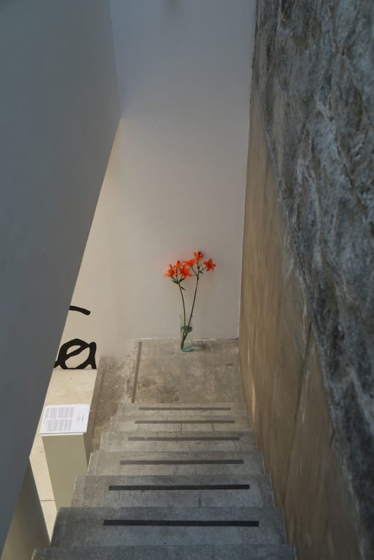 Proyectos AA, Artist in residence