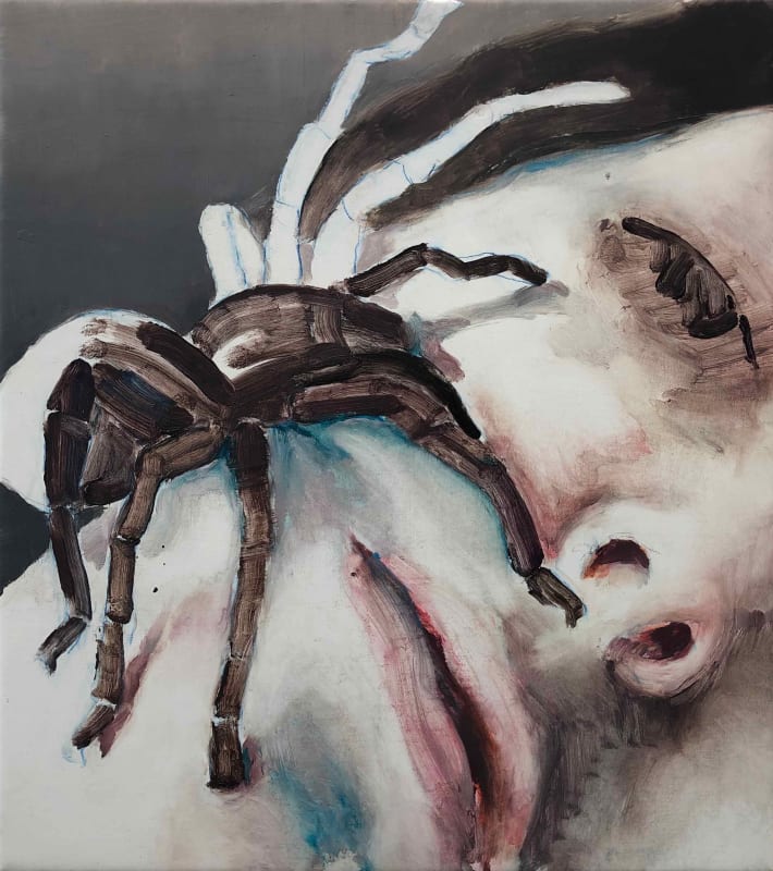 Tarantula, 2020