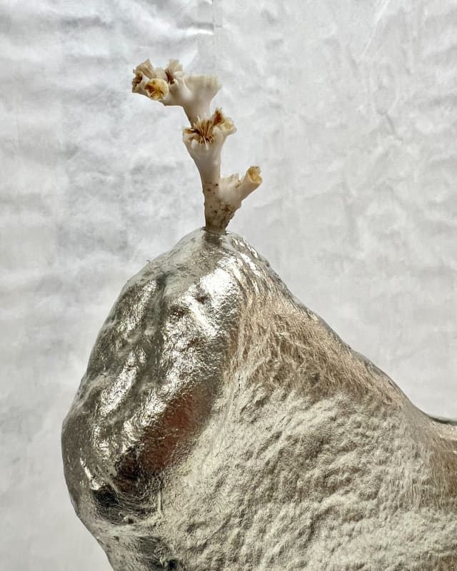 Anna Júlía Fridbjörnsdóttir