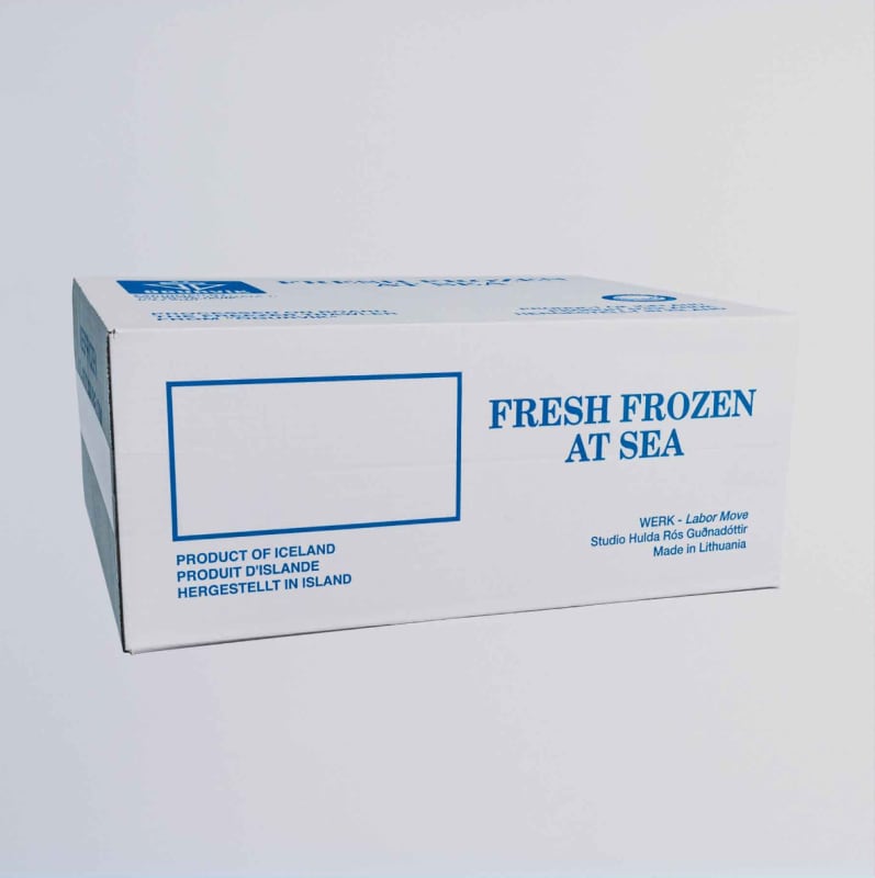 Artist Talk: Hulda Rós Gudnadóttir in Conversation with Gudny Gudmundsdottir