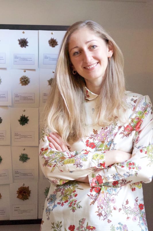 Morgane Baroghel-Crucq