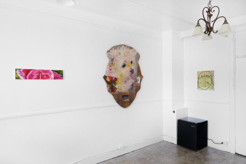 Worlds Within Worlds, Srijon Chowdhury, David Muenzer, Erin Jane Nelson, and Veronika Pausova