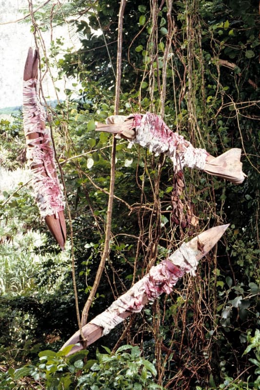 Le Végétal Arles, Annalee Davis, Talin Hazbar