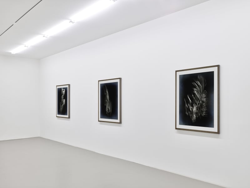 Thomas Ruff, UNTITLED# & D.O.PE.