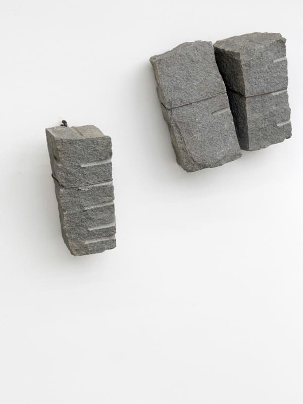 Grigi che si alleggeriscono mentre la terra si orienta, 1982-2022