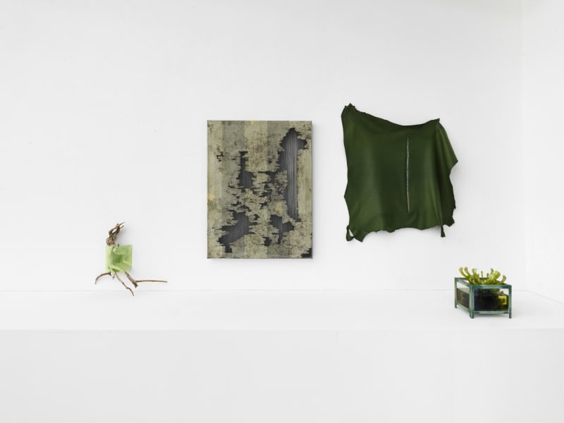 Edith Dekyndt, Animal Methods